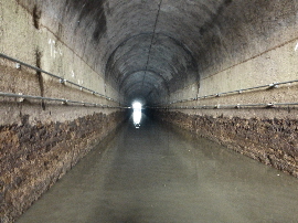 Befischung Schifffahrtstunnel Weilburg